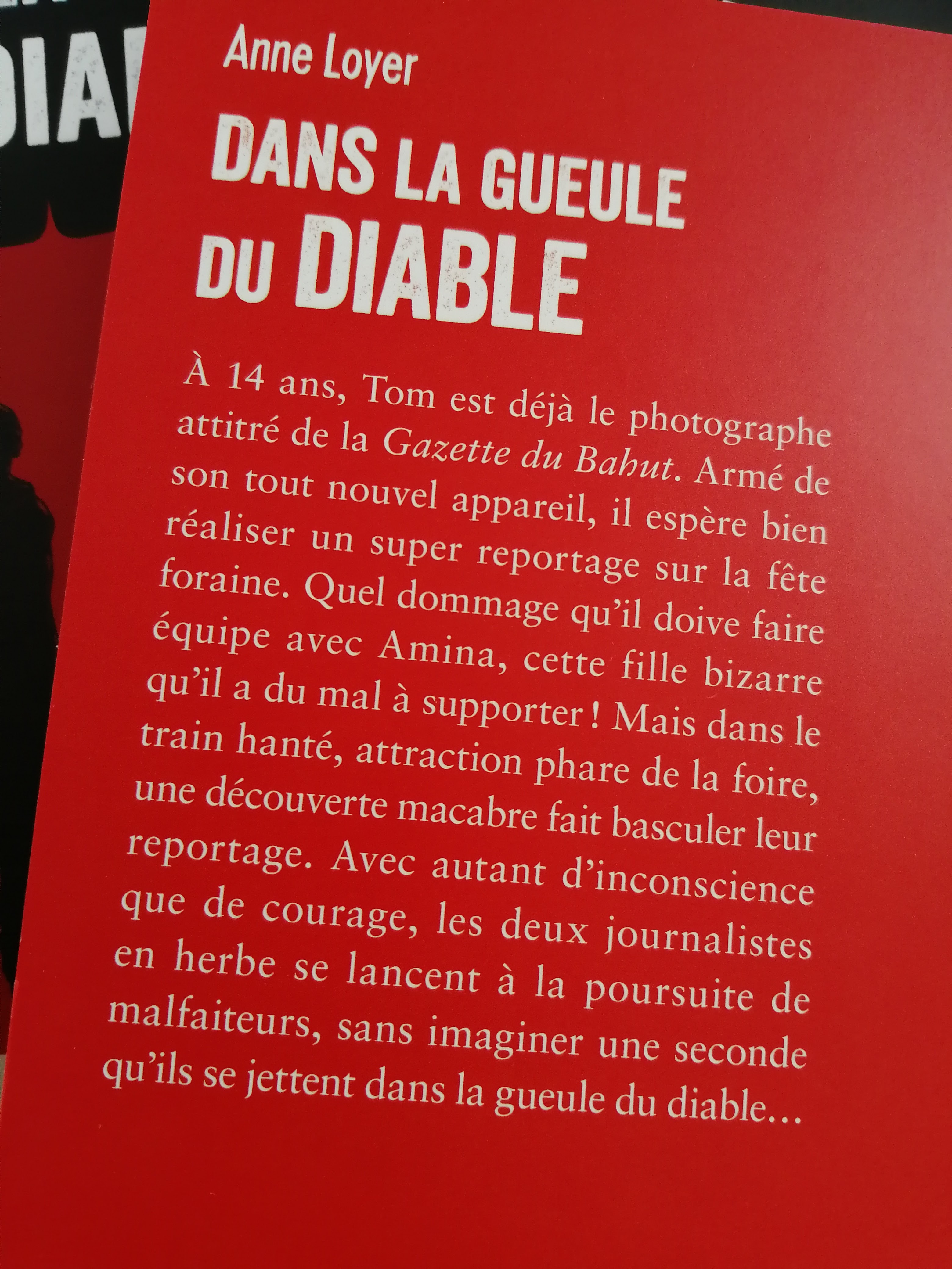 Quatrième de couverture (image blog Anne Loyer)